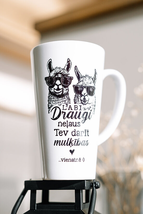 Late krūze "Draugi. Muļķības"