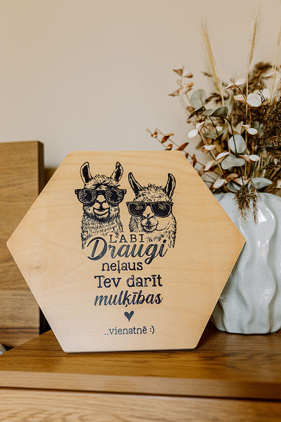 Koka dekors "Draugi. Muļķības"